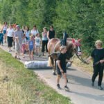 Filzen im Unterricht